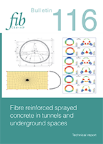 FIBBUL 0116 2025 E cover